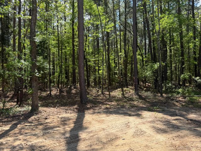 115 Ash Hill Drive, Eutawville, SC 29048