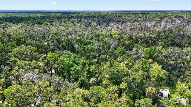 4626 S FLAMBEAU LOOP, Homosassa, FL 34448
