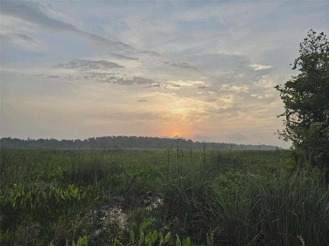 10895 SE TIMUCUAN ROAD, Summerfield, FL 34491