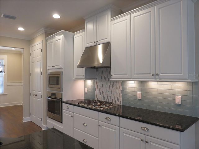 11601 MAPLE PALM WAY, Tampa, FL 33626