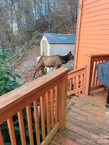 309 Irene Lane, Maggie Valley, NC 28751