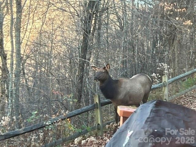 309 Irene Lane, Maggie Valley, NC 28751