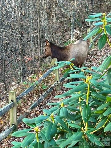 309 Irene Lane, Maggie Valley, NC 28751