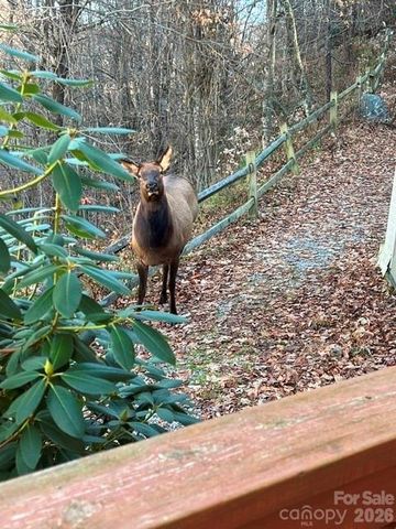 309 Irene Lane, Maggie Valley, NC 28751