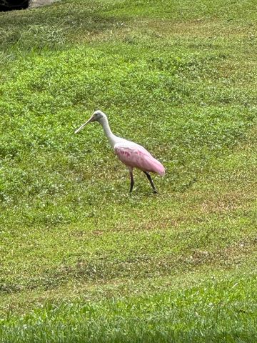 3422 SE Fairway W, Stuart, FL 34997