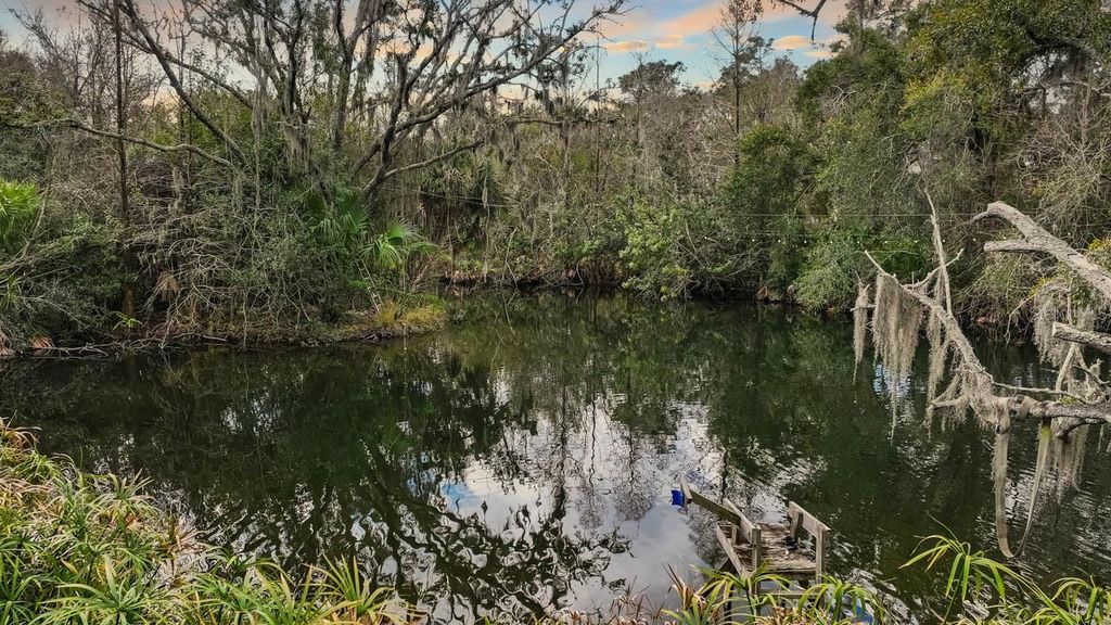 Image 11 of property listing at 12730 BULLFROG CREEK ROAD, Gibsonton, FL 33534