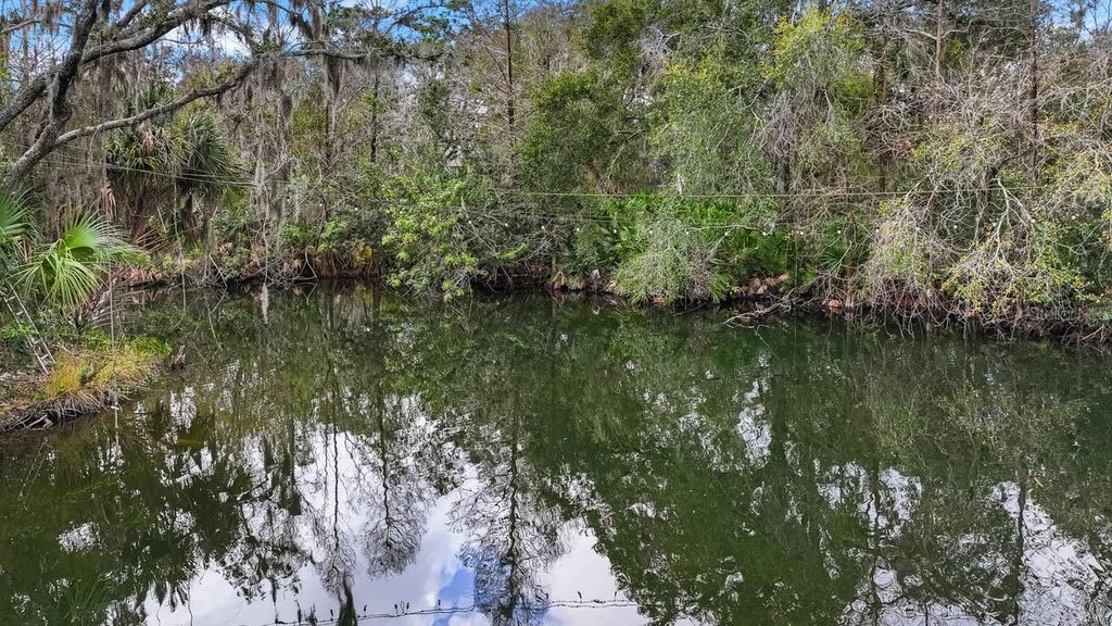 Image 12 of property listing at 12730 BULLFROG CREEK ROAD, Gibsonton, FL 33534