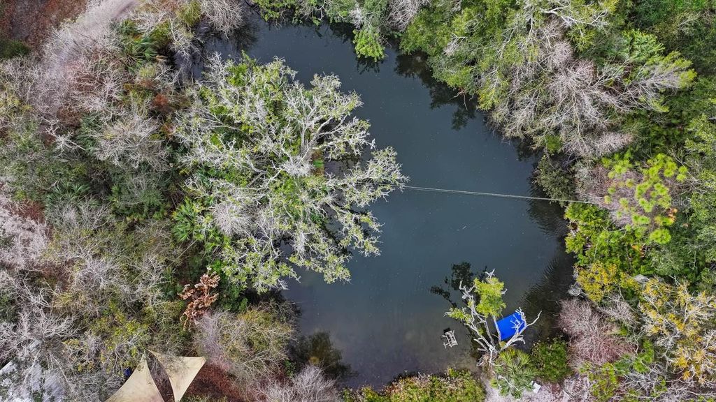 Image 13 of property listing at 12730 BULLFROG CREEK ROAD, Gibsonton, FL 33534