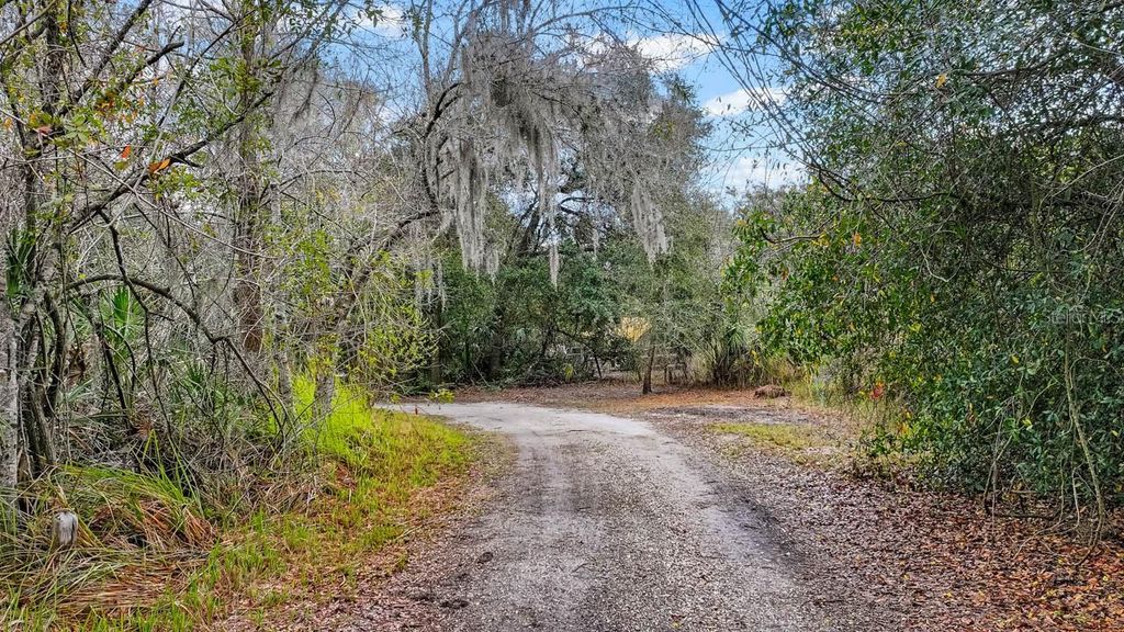 Image 14 of property listing at 12730 BULLFROG CREEK ROAD, Gibsonton, FL 33534