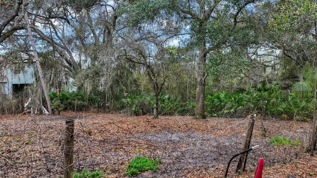 Image 15 of property listing at 12730 BULLFROG CREEK ROAD, Gibsonton, FL 33534