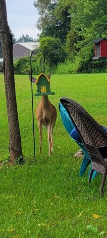 14888 S State Road, Perry, MI 48872