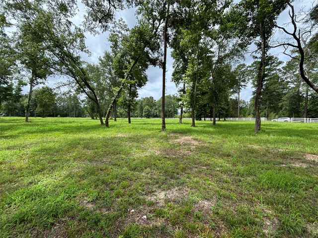 1263 Old Providence Road, Livingston, TX 77351