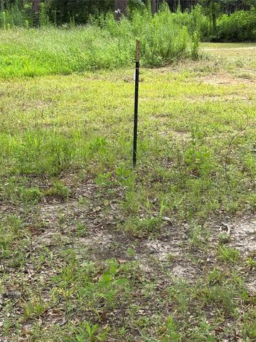 1263 Old Providence Road, Livingston, TX 77351