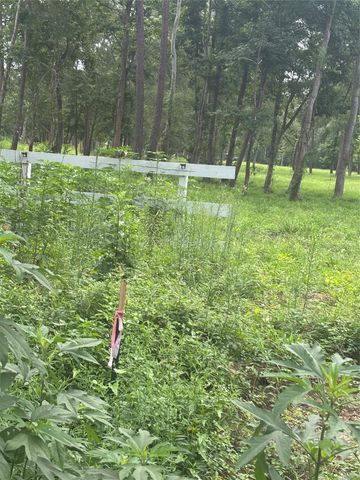 1263 Old Providence Road, Livingston, TX 77351
