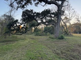 408 Fm 522, West Columbia, TX 77486