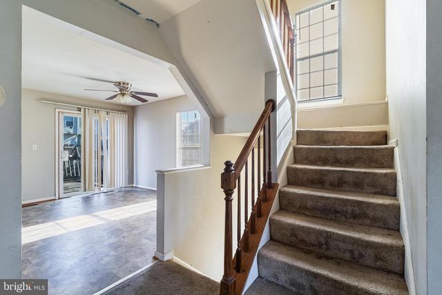 2980-F MOURNING DOVE, Waldorf, MD 20603