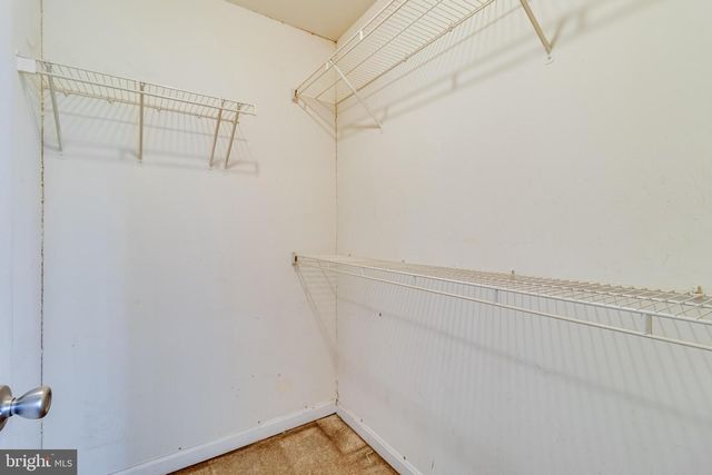 2980-F MOURNING DOVE, Waldorf, MD 20603