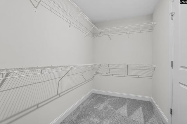 110 Bolter Lane, Elgin, SC 29045