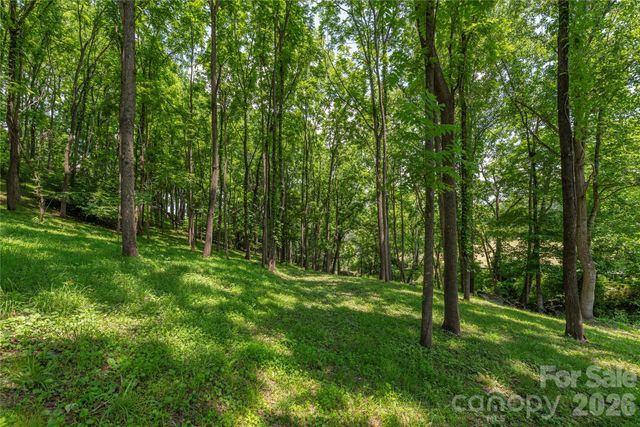 702 Love Joy Road, Canton, NC 28716