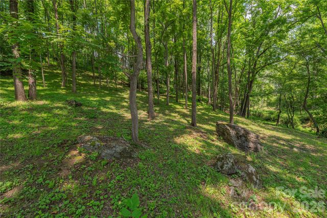 702 Love Joy Road, Canton, NC 28716