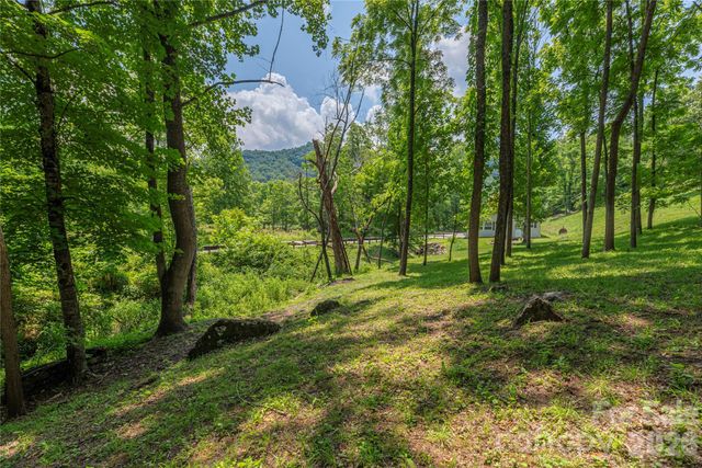 702 Love Joy Road, Canton, NC 28716
