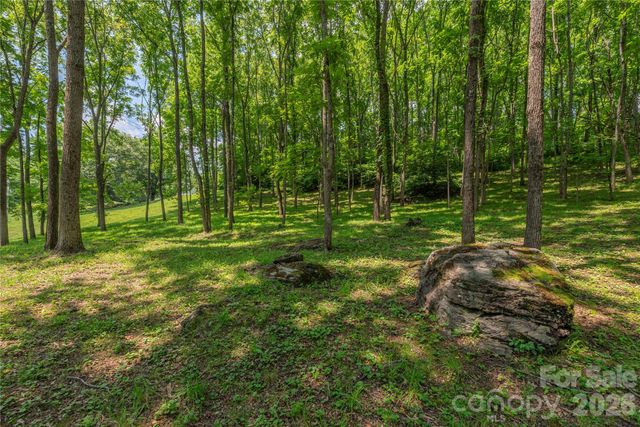 702 Love Joy Road, Canton, NC 28716