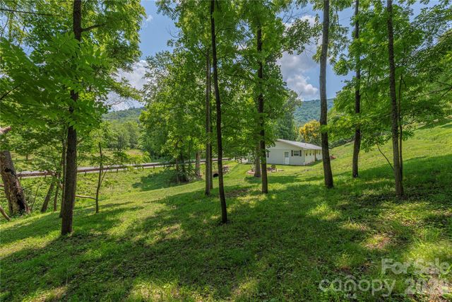 702 Love Joy Road, Canton, NC 28716