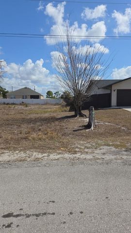 3029 NE JUANITA PLACE NE, Cape Coral, FL 33909