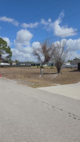 3029 NE JUANITA PLACE NE, Cape Coral, FL 33909