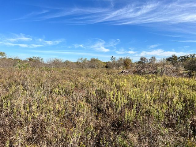 TBD Wesley Chapel Road, Gholson, TX 76705