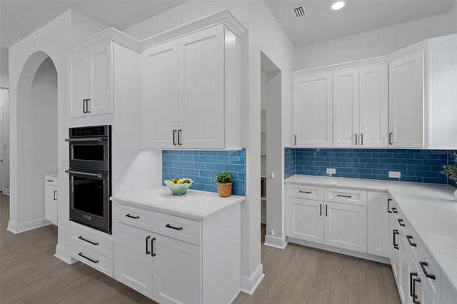 16691 VIBRATO LANE, Land O Lakes, FL 34638