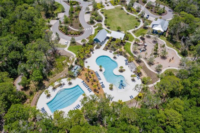 16691 VIBRATO LANE, Land O Lakes, FL 34638