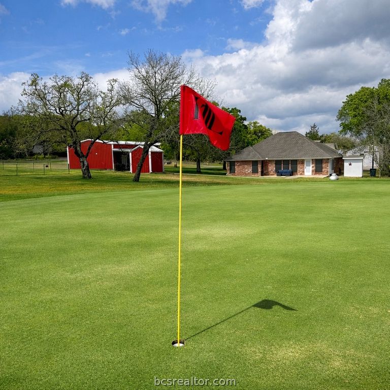 202 Golfview Drive, Hilltop Lakes, TX 77871 — photo 5