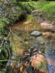 Lot 54 Billings Hill Church Road, Traphill, NC 28683