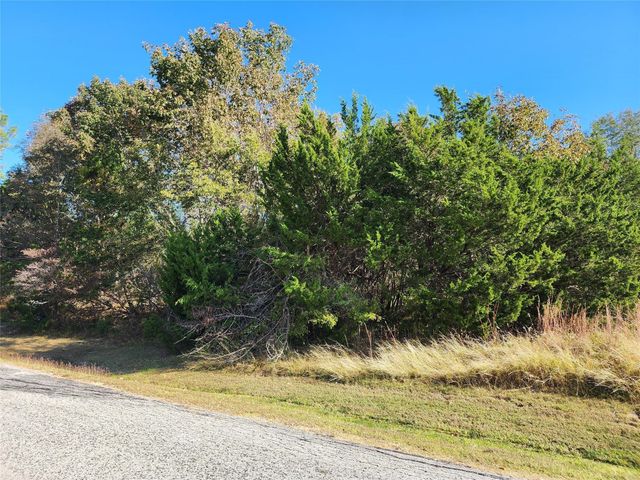 10 N Forest Cove Loop, Coldspring, TX 77331