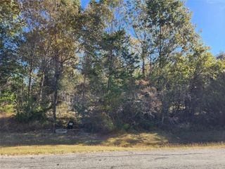 10 N Forest Cove Loop, Coldspring, TX 77331