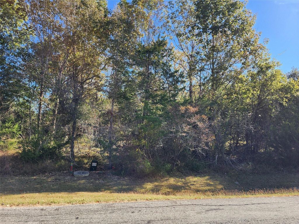 10 N Forest Cove Loop, Coldspring, TX 77331