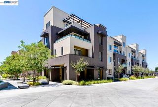 2348 Kinetic Cmn 311, Fremont, CA 94539
