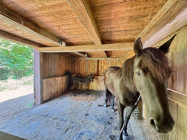 175 Beechwood Drive, Cornish, NH 03745