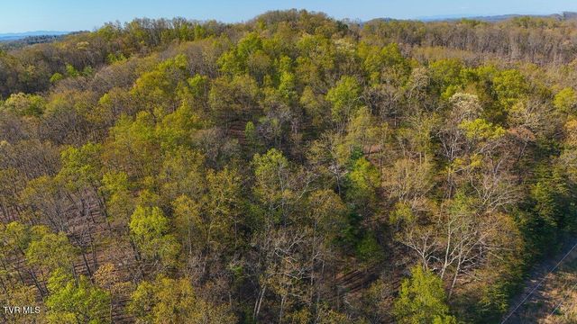 814 Frank Jones Road, Johnson City, TN 37601