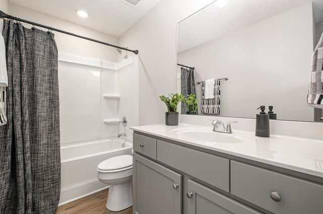 317 Moshe Feder Way, La Vergne, TN 37086