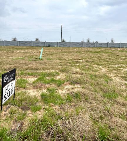 26410 Euphoria Way, Hockley, TX 77447