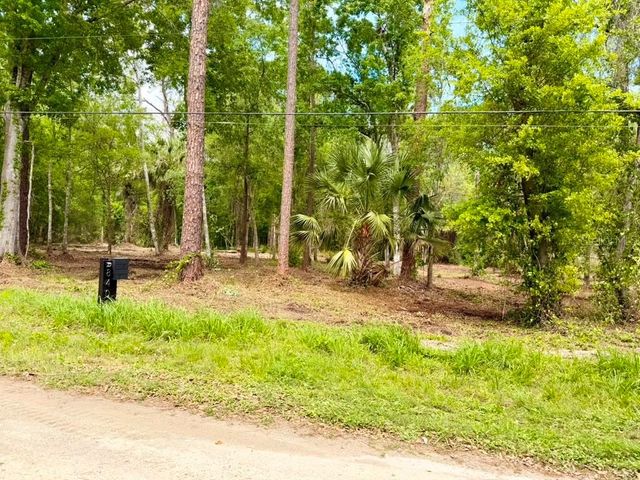 8401 AMELIA TRAIL, Kissimmee, FL 34747