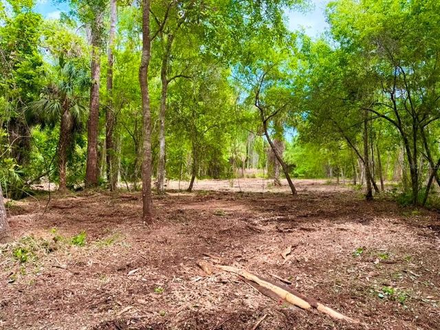 8401 AMELIA TRAIL, Kissimmee, FL 34747
