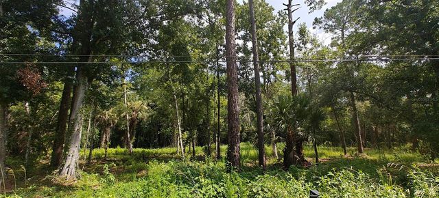 8401 AMELIA TRAIL, Kissimmee, FL 34747