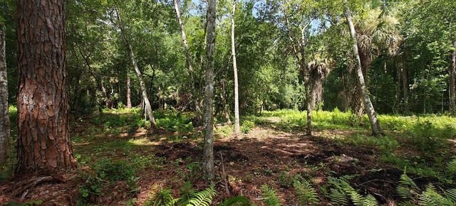 8401 AMELIA TRAIL, Kissimmee, FL 34747