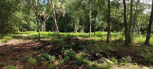 8401 AMELIA TRAIL, Kissimmee, FL 34747