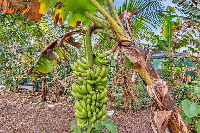 2431 Mayo St, Hollywood, FL 33020