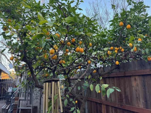 11110 Concord River Ct, Rancho Cordova, CA 95670