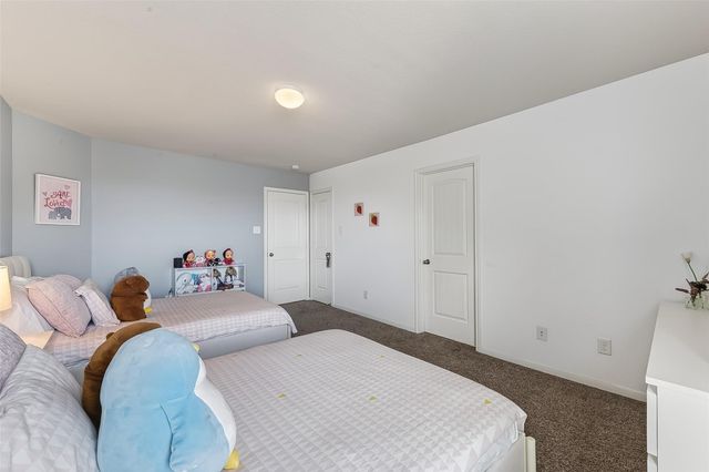 29011 Dryander Forest Court, Katy, TX 77494